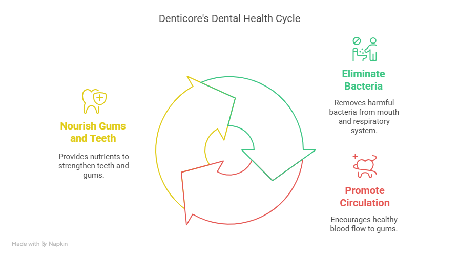 Navy Tooth Repair Hack: A Closer Look at Dr. Norbert Miles’ Revolutionary Solution for Dental Health 2 How Denticore Works