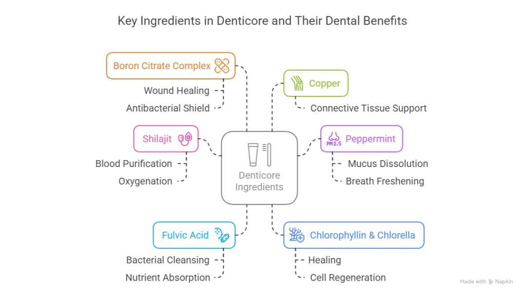 Navy Tooth Repair Hack: A Closer Look at Dr. Norbert Miles’ Revolutionary Solution for Dental Health 3 Key Ingredients in Denticore and Their Benefits