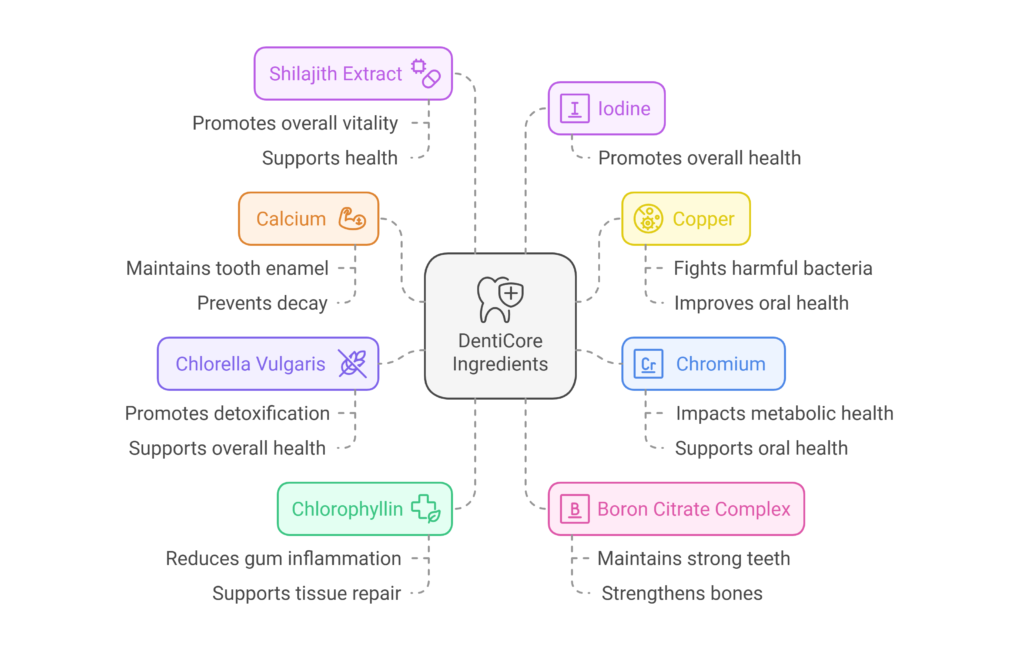 Key DentiCore Ingredients