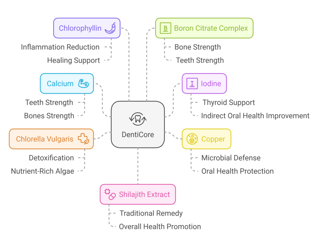 Key Ingredients in DentiCore