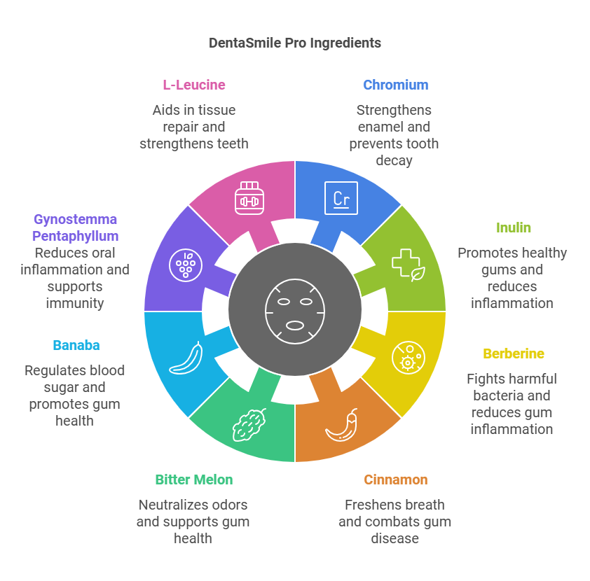 Key Ingredients of DentaSmile Pro