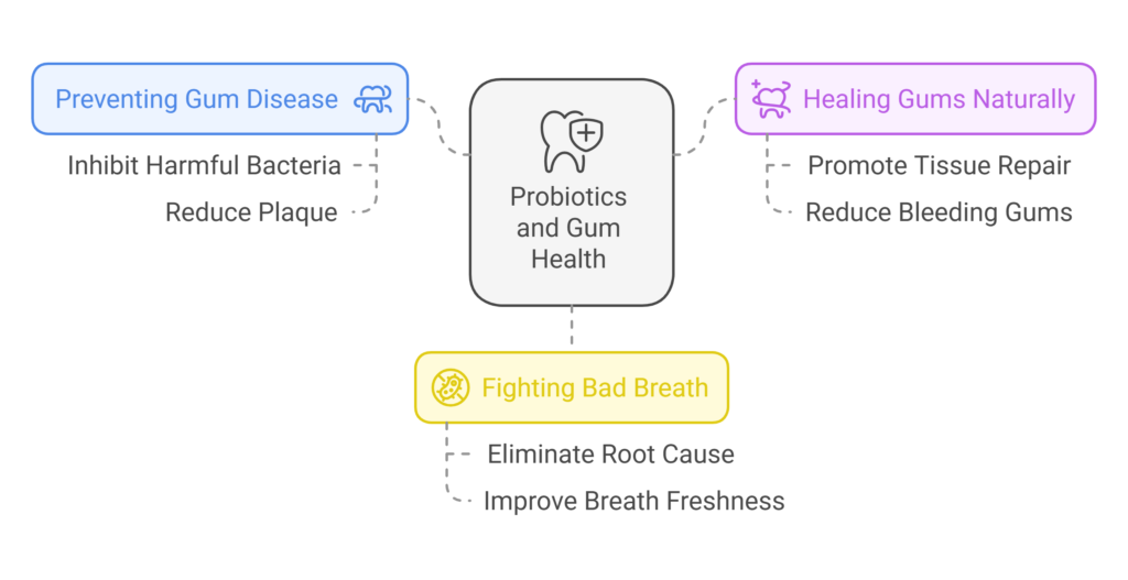 The Connection Between Probiotics and Gum Health