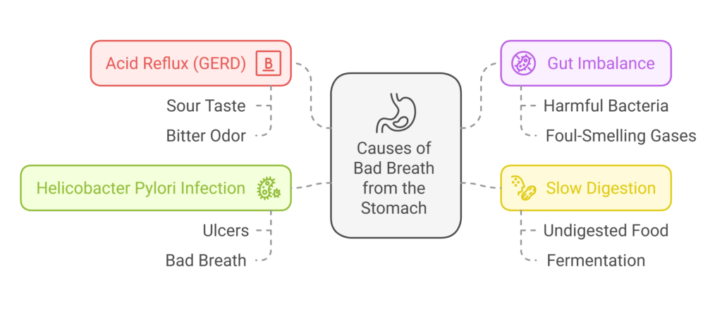 What Causes Bad Breath from the Stomach